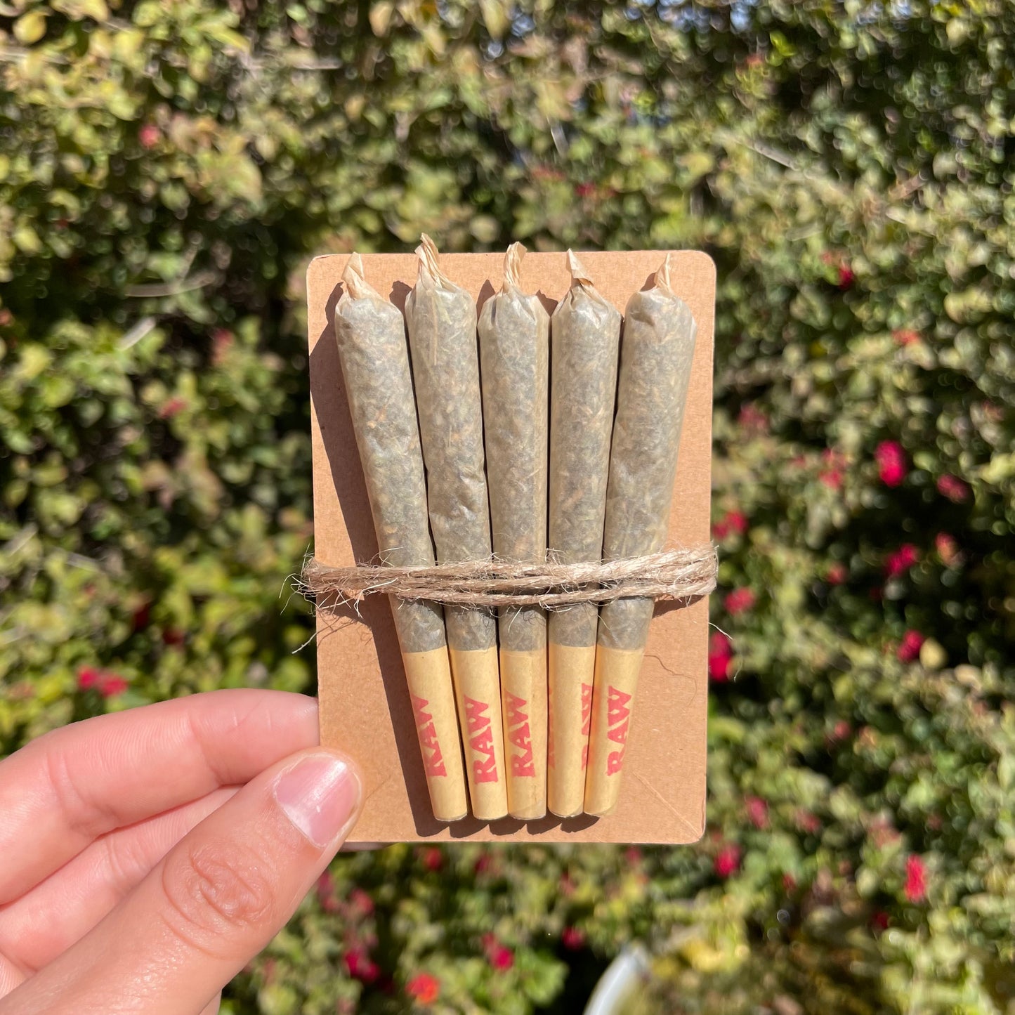 Catnip Joints
