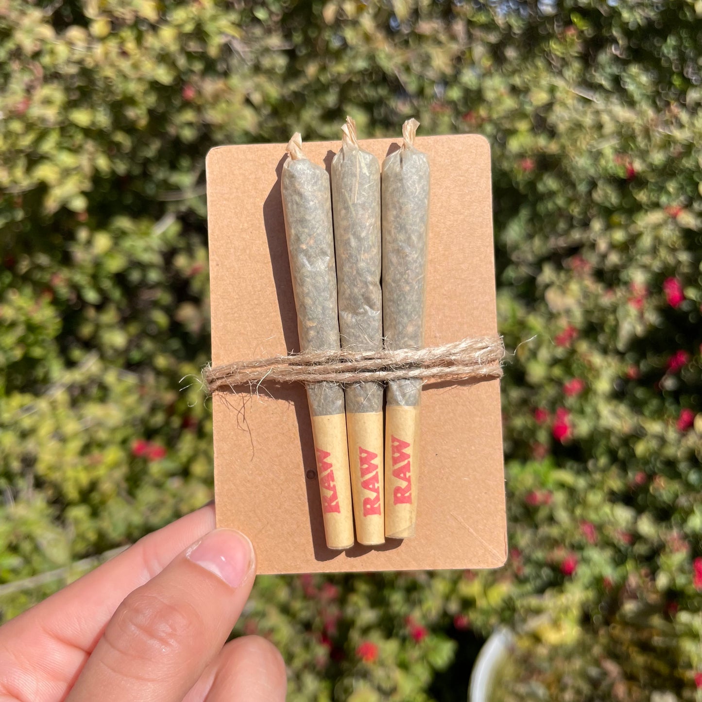 Catnip Joints