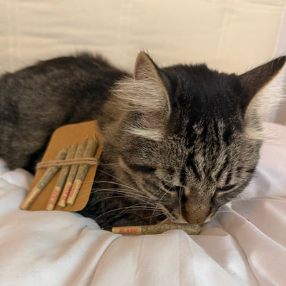 Catnip Joints